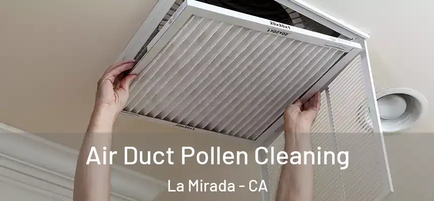 Air Duct Pollen Cleaning La Mirada - CA