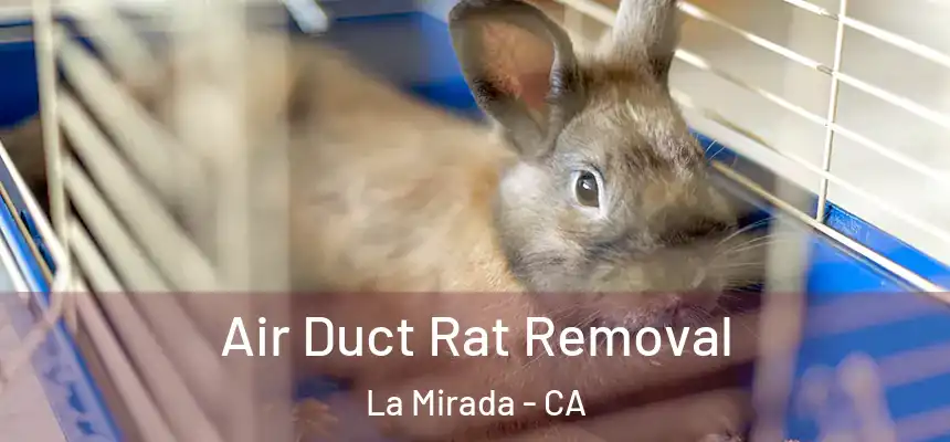  Air Duct Rat Removal La Mirada - CA