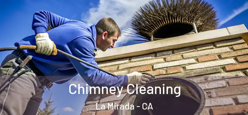  Chimney Cleaning La Mirada - CA