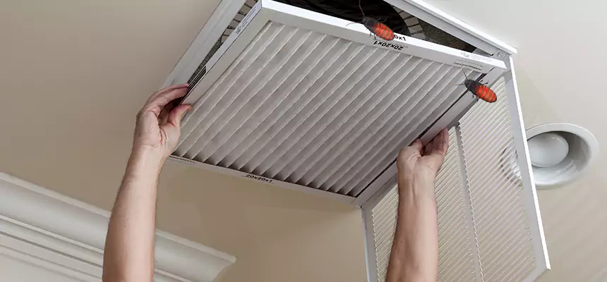 Preventive Cockroach-Proofing for Ducts in La Mirada