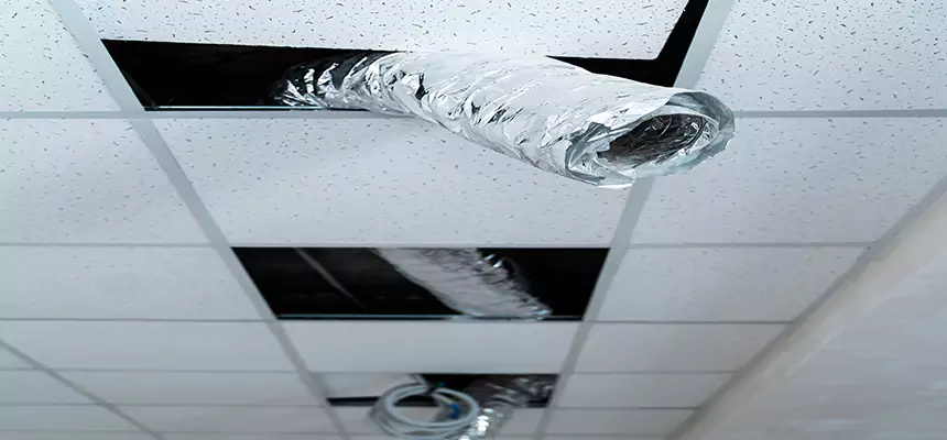 Our Air Duct Pet Hair Removal Services in La Mirada, CA