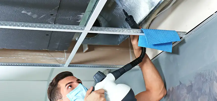 Our Air Duct Rodent Removal Services in La Mirada, CA