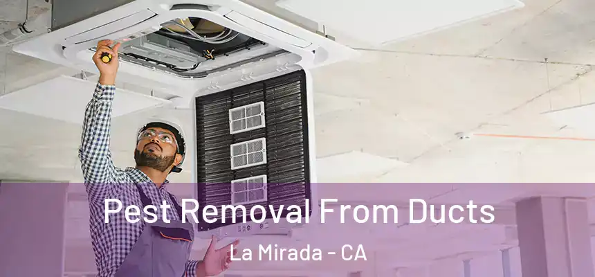 Pest Removal From Ducts La Mirada - CA