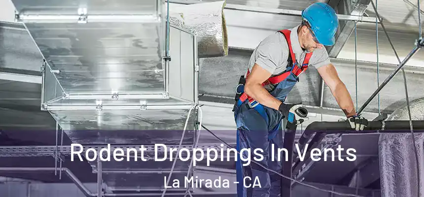  Rodent Droppings In Vents La Mirada - CA