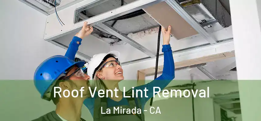 Roof Vent Lint Removal La Mirada - CA