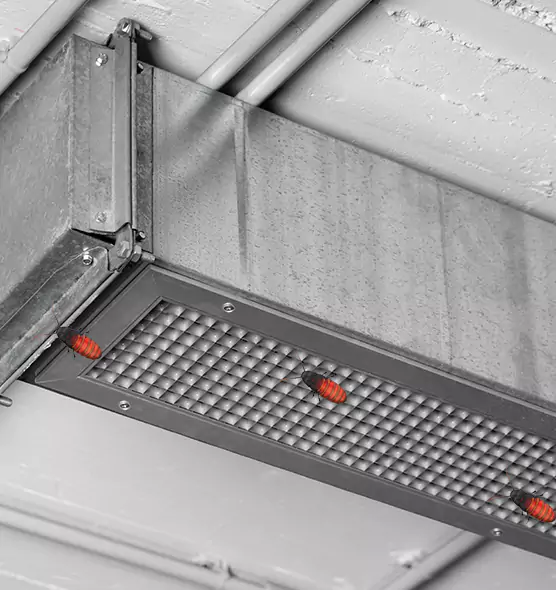 Affordable Insect Removal from Air Ducts in La Mirada, CA