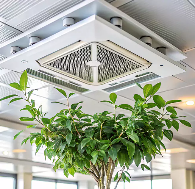 Why Homeowners & Businesses Trust Us in La Mirada, CA?